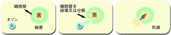 オゾンの脱臭効果のメカニズム