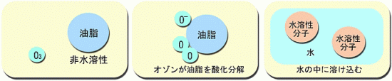 オゾン油脂分解のメカニズム